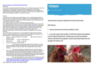 https://veganuary.com/why/animals/chickens/
Summary;
This article is about the harmful methods used in chicken farming to create the
most amount of profitable produce possible, ranging from their living
conditions, to de-beaking, to how they are transported etc. This website is a
well-established vegan organization and their sources have been stated at the
bottom of the page, making it a trustworthy source.
Quotes;
In the wild a hen would lay around 60 eggs a year. In today’s egg production
industry, hens are bred and reared to produce more than 300 eggs a year. [ii]
This excessive production drains the chicken’s body of calcium and causes her
to develop brittle bones disease.
‘Free-Range’ systems are often advertised as being cruelty-
free. Unfortunately, these hens are still predominately confined in barns with
a stocking density of up to four hens per square metre. [iii] Due to inadequate
pop-holes for outside access and the protection of these exits by dominant
hens, less than 10 per cent (on average) of the chickens are outside at any
given time, and many never go outside at all. [iv] Once again, this
overcrowding leads to similar welfare problems of aggression and feather-
pecking.
The chick’s head is restrained on a carousel while a high intensity infrared
beam is used to penetrate up to a third of their beak. Within five weeks, the
penetrated area of the beak tissue will die and drop off.
• Animal Natural lifespan (on average) Age at which they are
typically killed
• Broiler chicken 7 years 40-50 days old
• Male chicks 7 years 1 day old
• Layer hens7 years 18 months old
• The chickens are hung upside down by their legs on metal
shackles along a moving conveyor belt. This can cause more stress and
injury to the birds as they are often left hanging like this for several
minutes.
• They move along the production line to a stunning water
bath. When the bird’s head makes contact with the water, an electrical
circuit between the water bath and the shackle is completed, which
stuns the bird. This process is not always effective and in some instances,
when the bath water is too low or insufficient voltage has been used, the
chickens will not be paralysed when their necks are cut.
• The conveyor belt then moves the birds to a mechanical neck
cutter that cuts the major blood vessels in the neck. [vi] This automatic
cutter may only administer a single cut that will leave the chicken to
bleed out for several minutes before dying.
Tags: Veganuary, animals, cows, pigs, chickens.
 