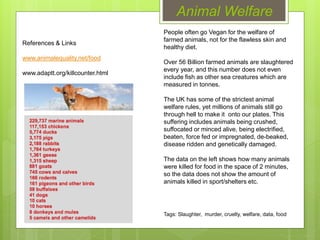 Animal Welfare
People often go Vegan for the welfare of
farmed animals, not for the flawless skin and
healthy diet.
Over 56 Billion farmed animals are slaughtered
every year, and this number does not even
include fish as other sea creatures which are
measured in tonnes.
The UK has some of the strictest animal
welfare rules, yet millions of animals still go
through hell to make it onto our plates. This
suffering includes animals being crushed,
suffocated or minced alive, being electrified,
beaten, force fed or impregnated, de-beaked,
disease ridden and genetically damaged.
The data on the left shows how many animals
were killed for food in the space of 2 minutes,
so the data does not show the amount of
animals killed in sport/shelters etc.
References & Links
www.animalequality.net/food
www.adaptt.org/killcounter.html
Tags: Slaughter, murder, cruelty, welfare, data, food
 
