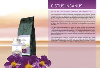 CISTUS INCANUS 
Cistus Incanus ein einzigartiger NaturwirkstofF 
Die Cistus Incanus, auch graubehaarte Zistrose oder Cystus genannt, wächst 
hauptsächlich auf der griechischen Halbinsel Chalkidiki. Die Unterart Cistus 
Incanus ssp. Tauricus gilt als eine der polypenolhaltigsten essbaren Pflanzen in 
Europa. Die Pflanze wird auch gerne als Tee getrunken, oder als Sud aufbereitet. 
Auf Chalkidiki gehört das Trinken des Tees zur täglichen Gewohnheit. Interessant 
ist auch, dass die Menschen dort durchweg ein hohes Durchschnittsalter 
erreichen. 
Laut den Sagen sollen bereits die Götter der Antike von der herausragenden 
Kraft der Zistrose gewusst haben. Daher wurde schon im 4. Jahrhundert vor 
Christus das Harz nach Ägypten exportiert. Dort wurde es unter anderem sogar 
als Mittel gegen Bakterien- und Pilzbefall genutzt. Die Kombination aus Harzen 
und Polyphenolen macht die Pflanze so wertvoll und soll dem Wohlbefinden des 
Menschen dienen. 
Cistus Incanus ssp. Tauricus hat sogar als “Pflanze Europas 1999“ eine 
Auszeichnung bekommen. Sie wurde und wird zudem an vielen deutschen 
Universitäten und Instituten untersucht. Zudem gibt es eine Vielzahl an Literatur 
über diese wunderbare Pflanze und deren Wirkungsweisen. 
 