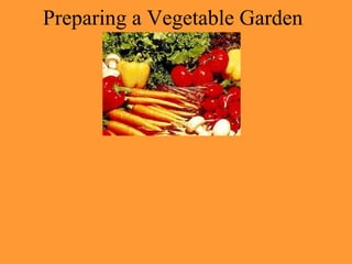 Preparing a Vegetable Garden

 