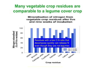 Cover crops for vegetable crops