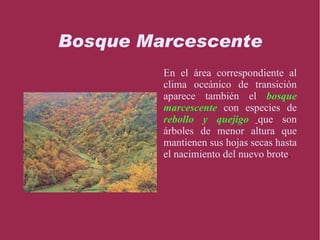 ROBLES El roble no soporta veranos calurosos, tiene menor tolerancia al frío y exige menos humedad que el haya. 