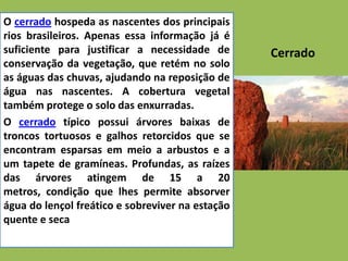 O cerrado hospeda as nascentes dos principais
rios brasileiros. Apenas essa informação já é
suficiente para justificar a necessidade de       Cerrado
conservação da vegetação, que retém no solo
as águas das chuvas, ajudando na reposição de
água nas nascentes. A cobertura vegetal
também protege o solo das enxurradas.
O cerrado típico possui árvores baixas de
troncos tortuosos e galhos retorcidos que se
encontram esparsas em meio a arbustos e a
um tapete de gramíneas. Profundas, as raízes
das árvores atingem de 15 a 20
metros, condição que lhes permite absorver
água do lençol freático e sobreviver na estação
quente e seca
 