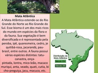 Mata Atlântica
A Mata Atlântica estende-se do Rio
Grande do Norte ao Rio Grande do
Sul. Esse bioma é um dos mais ricos
 do mundo em espécies da flora e
  da fauna. Sua vegetação é bem
diversificada e é representada pela
peroba, ipê, quaresmeira, cedro, je
    quitibá-rosa, jacarandá, pau-
brasil, entre outras. A fauna possui
   várias espécies distintas: tatu-
           canastra, onça-
pintada, lontra, mico-leão, macaco
muriqui, anta, veado, quati, cutia, bi
 cho-preguiça, jacu, macuco, etc.
 
