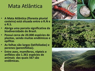 Mata Atlântica
• A Mata Atlântica (floresta pluvial
  costeira) está situada entre o R.N e
  o R.S.
• Abriga uma parcela significativa da
  biodiversidade do Brasil.
• Possui cerca de 20.000 espécies de
  plantas, sendo muitas endêmicas e
  epífitas
• As folhas são largas (latifoliadas) e
  perenes (perenifólias).
• Entre aves, mamíferos, répteis e
  anfíbios são 1.361 espécies de
  animais das quais 567 são
  endêmicas.
 