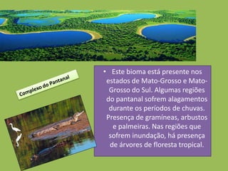 • Este bioma está presente nos
 estados de Mato-Grosso e Mato-
  Grosso do Sul. Algumas regiões
 do pantanal sofrem alagamentos
  durante os períodos de chuvas.
 Presença de gramíneas, arbustos
   e palmeiras. Nas regiões que
  sofrem inundação, há presença
  de árvores de floresta tropical.
 