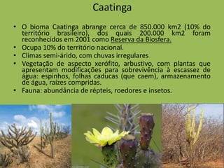 Caatinga
• O bioma Caatinga abrange cerca de 850.000 km2 (10% do
  território brasileiro), dos quais 200.000 km2 foram
  reconhecidos em 2001 como Reserva da Biosfera.
• Ocupa 10% do território nacional.
• Climas semi-árido, com chuvas irregulares
• Vegetação de aspecto xerófito, arbustivo, com plantas que
  apresentam modificações para sobrevivência à escassez de
  água: espinhos, folhas caducas (que caem), armazenamento
  de água, raízes compridas.
• Fauna: abundância de répteis, roedores e insetos.
 
