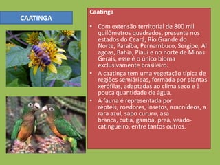 Caatinga
CAATINGA
           • Com extensão territorial de 800 mil
             quilômetros quadrados, presente nos
             estados do Ceará, Rio Grande do
             Norte, Paraíba, Pernambuco, Sergipe, Al
             agoas, Bahia, Piauí e no norte de Minas
             Gerais, esse é o único bioma
             exclusivamente brasileiro.
           • A caatinga tem uma vegetação típica de
             regiões semiáridas, formada por plantas
             xerófilas, adaptadas ao clima seco e à
             pouca quantidade de água.
           • A fauna é representada por
             répteis, roedores, insetos, aracnídeos, a
             rara azul, sapo cururu, asa
             branca, cutia, gambá, preá, veado-
             catingueiro, entre tantos outros.
 
