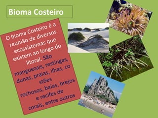 Bioma Costeiro
 