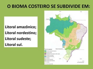 O BIOMA COSTEIRO SE SUBDIVIDE EM:


Litoral amazônico;
Litoral nordestino;
Litoral sudeste;
Litoral sul.
 