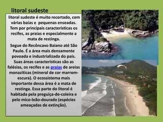 litoral sudeste
 litoral sudeste é muito recortado, com
   várias baías e pequenas enseadas.
  Tem por principais características os
   recifes, as praias e especialmente a
             mata de restinga.
   Segue do Recôncavo Baiano até São
    Paulo. É a área mais densamente
    povoada e industrializada do país.
     Suas áreas características são as
falésias, os recifes e as praias de areias
  monazíticas (mineral de cor marrom-
       escura). O ecossistema mais
   importante dessa área é a mata de
      restinga. Essa parte do litoral é
   habitada pela preguiça-de-coleira e
    pelo mico-leão-dourado (espécies
         ameaçadas de extinção).
 