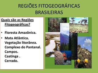 REGIÕES FITOGEOGRÁFICAS
                BRASILEIRAS
Quais são as Regiões
  Fitogeográficas?

• Floresta Amazônica.
• Mata Atlântica.
  Vegetação litorânea.
  Complexo do Pantanal.
  Campos.
  Caatinga .
  Cerrado.
 