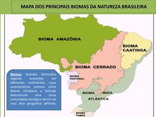 MAPA DOS PRINCIPAIS BIOMAS DA NATUREZA BRASILEIRA




Biomas: Grandes formações
vegetais       presentes   em
diferentes continentes, cujas
características comuns como
fatores climáticos e latitude
determinam        uma    única
comunidade biológica dentro de
uma área geográfica definida.
 