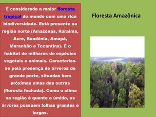 É considerada a maior floresta
tropical do mundo com uma rica     Floresta Amazônica
biodiversidade. Está presente na
região norte (Amazonas, Roraima,
    Acre, Rondônia, Amapá,
   Maranhão e Tocantins). É o
 habitat de milhares de espécies
vegetais e animais. Caracteriza-
 se pela presença de árvores de
   grande porte, situadas bem
   próximas umas das outras
(floresta fechada). Como o clima
 na região é quente e úmido, as
árvores possuem folhas grandes e
             largas.
 