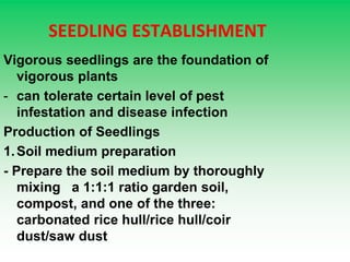 SEEDLING ESTABLISHMENT
Vigorous seedlings are the foundation of
vigorous plants
- can tolerate certain level of pest
infestation and disease infection
Production of Seedlings
1.Soil medium preparation
- Prepare the soil medium by thoroughly
mixing a 1:1:1 ratio garden soil,
compost, and one of the three:
carbonated rice hull/rice hull/coir
dust/saw dust
 