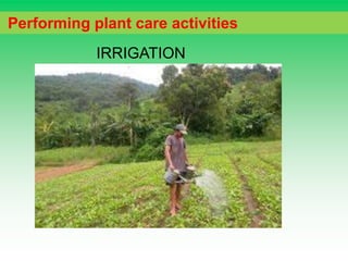 Performing plant care activities
IRRIGATION
 