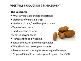 Vegetable Agronomic Practices Slide.pptx