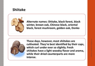 Shiitake
Delhindra/chefqtrainer.blogspot.com
 