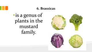 6. Brassicas
•is a genus of
plants in the
mustard
family.
 