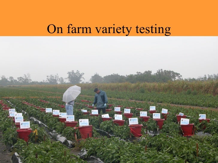 Vegetable Cultural Practices And Variety Selection