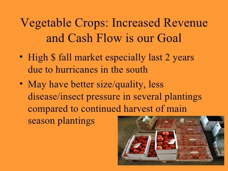 Vegetable Cultural Practices And Variety Selection