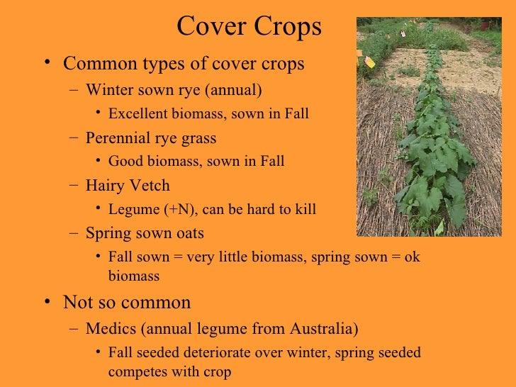 Vegetable Cultural Practices And Variety Selection