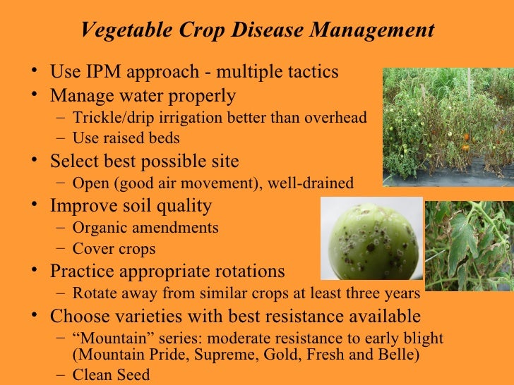 Vegetable Cultural Practices And Variety Selection