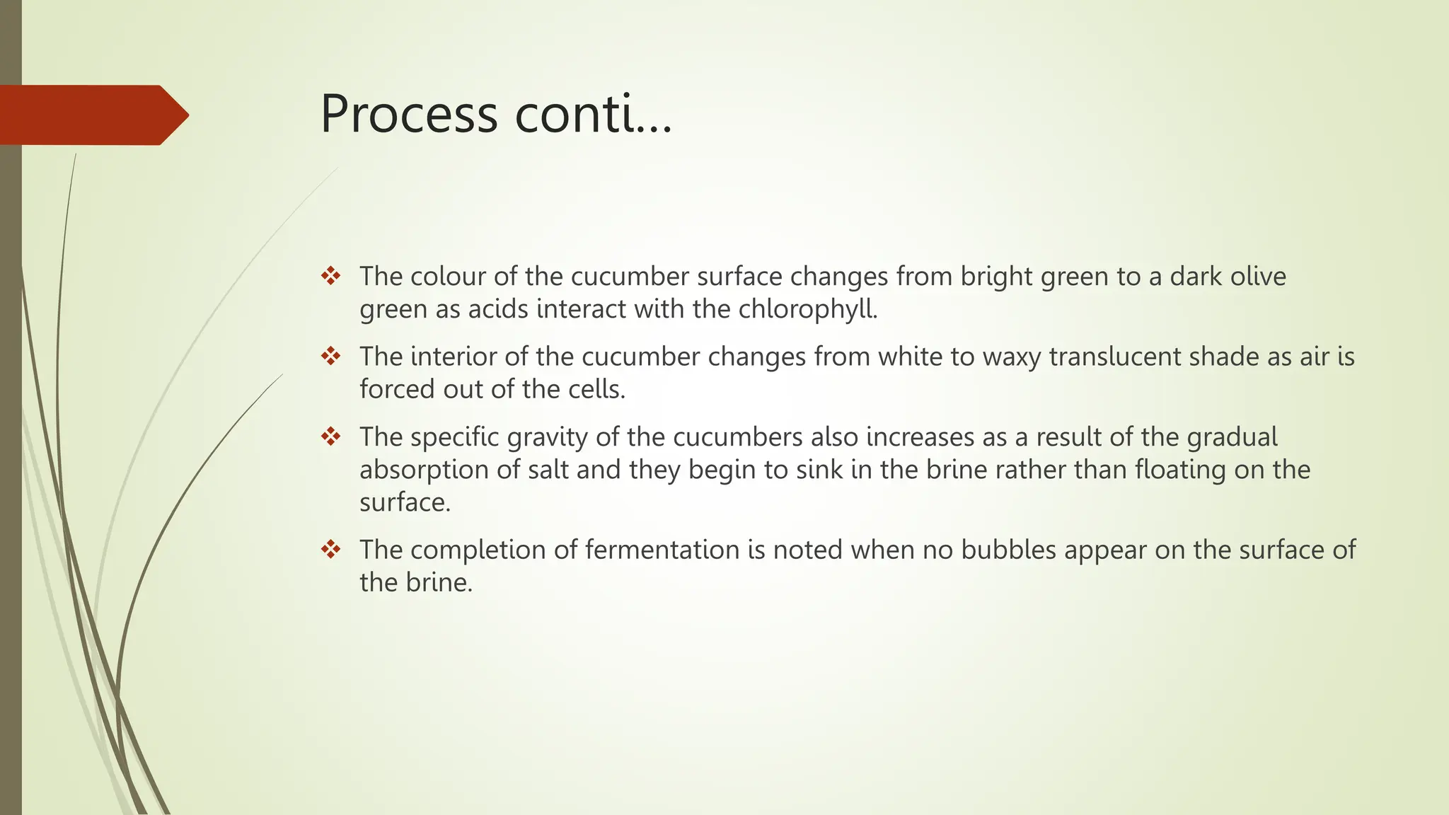 VEGETABLE_FERMENTATION and microorganisms .pptx