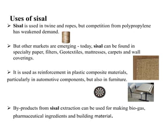 Vegetable fibers | PPTX