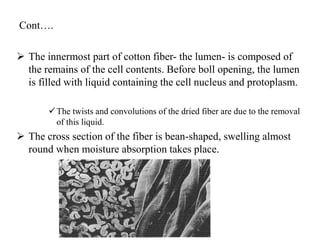 Vegetable fibers | PPTX