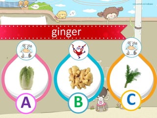 ginger
B
A C
 