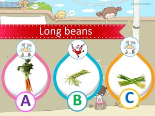 Long beans
B
A C
 
