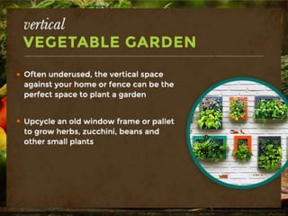 Vertical Vegetable Garden
-Often underused, the vertical space against
your home or fence can be the perfect space to
plant a garden.
-Upcycle an old window frame or pallet to grow
herbs, zucchini, beans and other small plants.
 