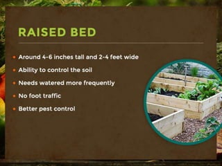 Raised Bed
-around 4-6 inches tall and 2-4 feet wide,
-ability to control the soil,
-needs watered more frequently,
-no foot traffic,
-Better pest control.
 