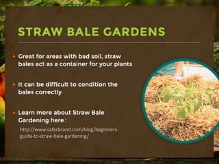 Straw Bale Gardens
-Great for areas with bad soil, straw bales act as
a container for your plants.
-It can be difficult to condition the bales
correctly.
:
http://www.saferbrand.com/blog/beginners-
guide-to-straw-bale-gardening/
 