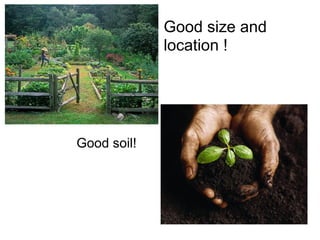 Good size and
location !
Good soil!
 