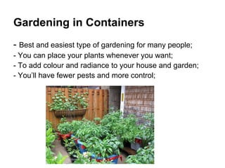 Gardening in Containers
- Best and easiest type of gardening for many people;
- You can place your plants whenever you want;
- To add colour and radiance to your house and garden;
- You’ll have fewer pests and more control;
 