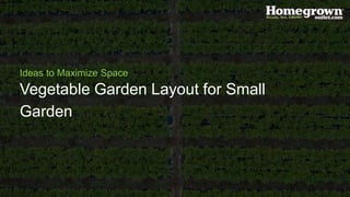 Vegetable Garden Layout for Small
Garden
Ideas to Maximize Space
 