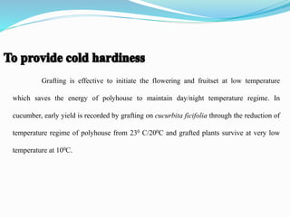 Grafting is effective to initiate the flowering and fruitset at low temperature
which saves the energy of polyhouse to maintain day/night temperature regime. In
cucumber, early yield is recorded by grafting on cucurbita ficifolia through the reduction of
temperature regime of polyhouse from 230 C/200C and grafted plants survive at very low
temperature at 100C.
 