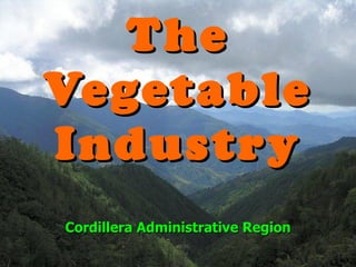 The Vegetable Industry Cordillera Administrative Region 