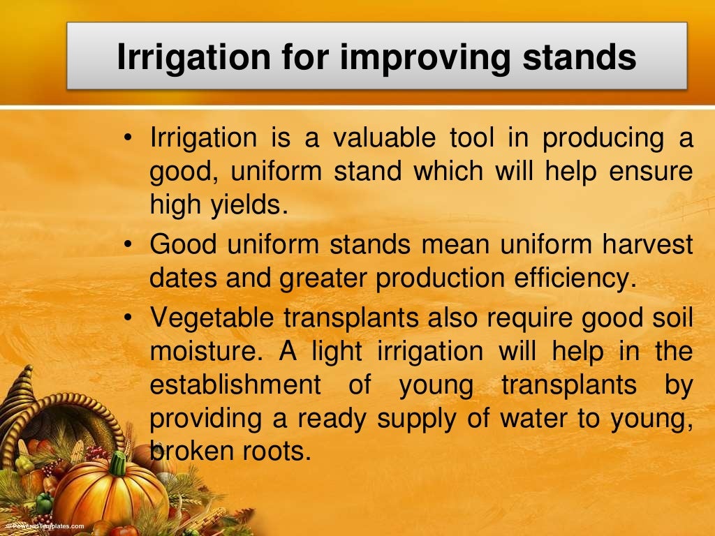 Irrigation & Water Requirements of Vegetable Crops