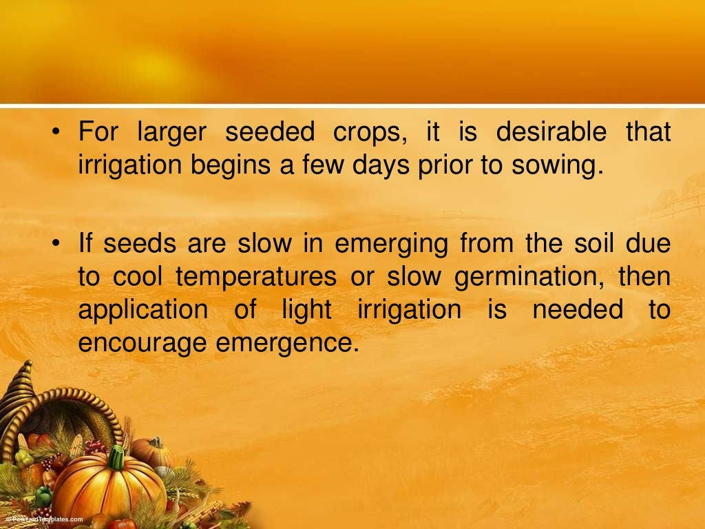 Irrigation & Water Requirements of Vegetable Crops