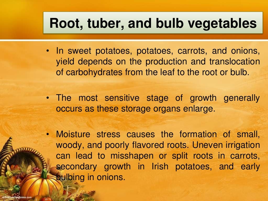 Irrigation & Water Requirements of Vegetable Crops
