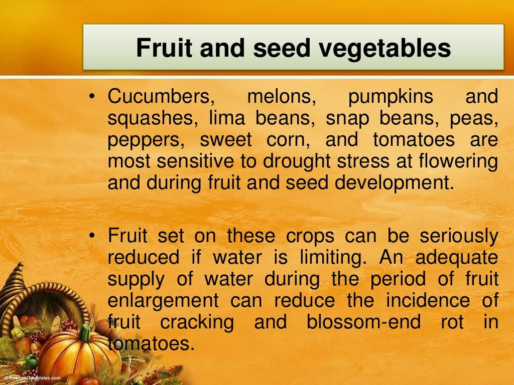 Irrigation & Water Requirements of Vegetable Crops