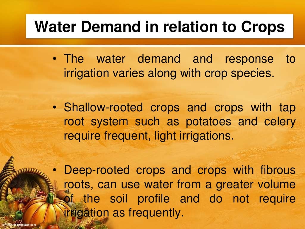 Irrigation & Water Requirements of Vegetable Crops