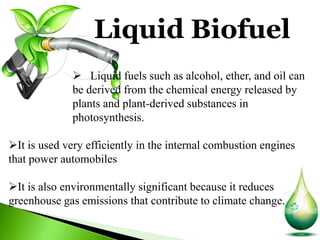 Vegetable oil and biofuel industry [autosaved] [autosaved] [autosaved ...