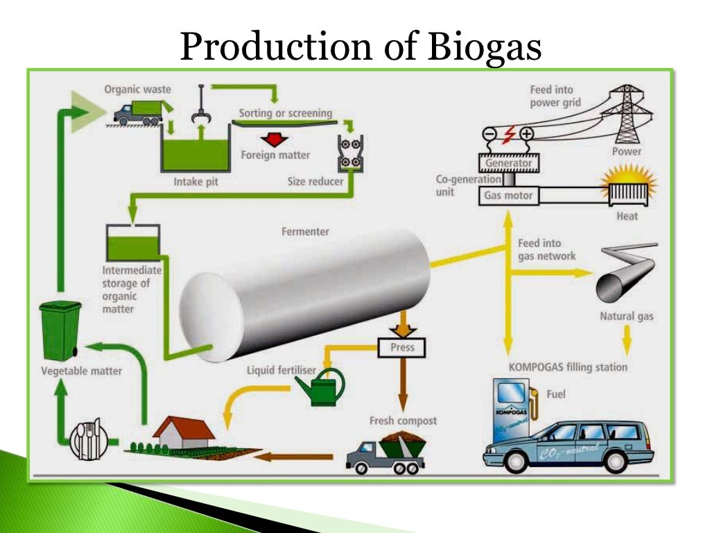 Vegetable oil and biofuel industry [autosaved] [autosaved] [autosaved]