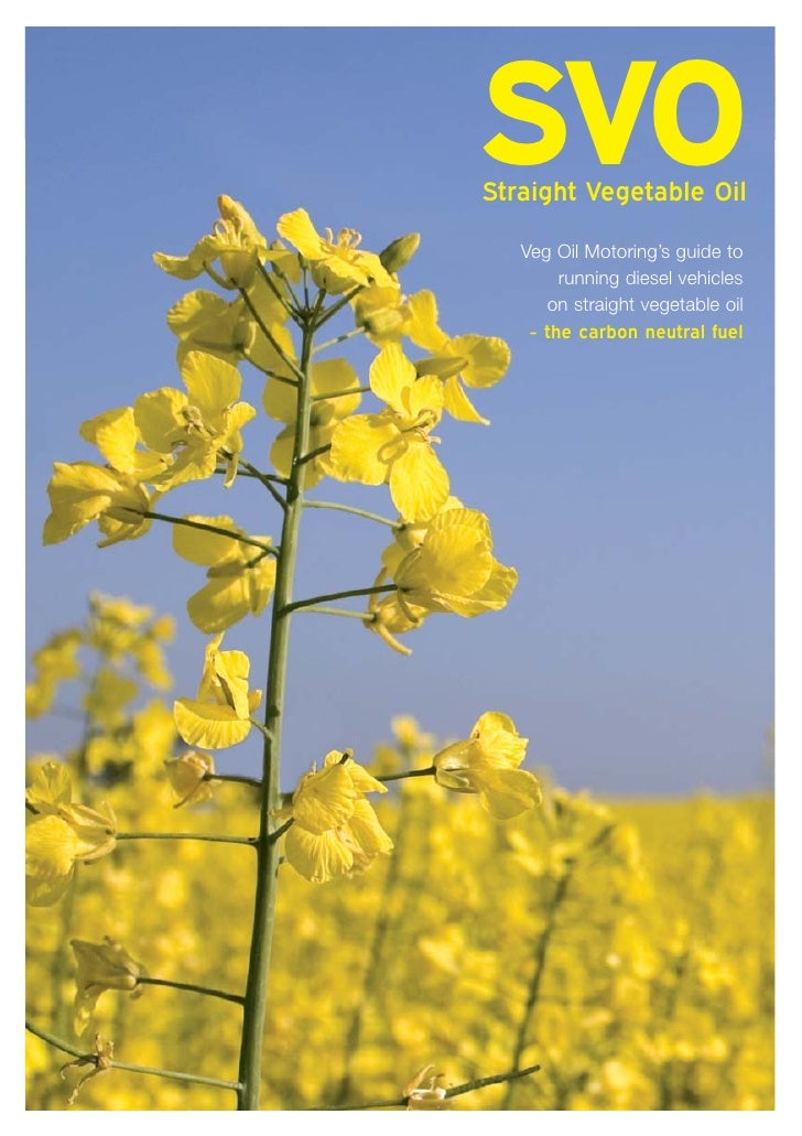 Vegetable Oil Car Brochure
