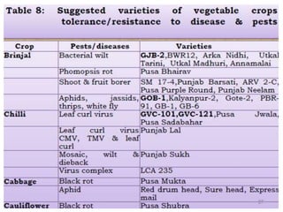 Vegetable organic farming.ppt
