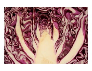 Vegetable Photography